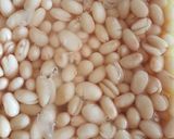 Foto del paso 1 de la receta: Fesols de santa Pau amb butifarra de formatge