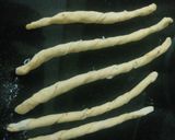 A picture of step 8 of Orange and cheese straws.