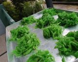 Foto langkah ke 4 dari resep Puruy kelapa.