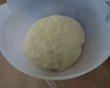 Foto del paso 10 de la receta Masa de pizza italiana