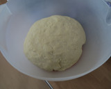 Foto del paso 10 de la receta: Masa de pizza italiana
