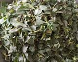 A picture of step 1 of Kulfa (purslane) saag.