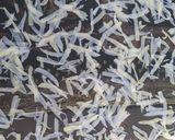 બટાકા ની વેફર (Bataka Wafer Recipe In Gujarati) રેસીપી સ્ટેપ3ફોટો