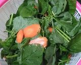 Foto langkah ke 1 dari resep Sayur bening bayam mix wortel.