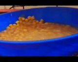 Foto del paso 3 de la receta: Garbanzos en miel de piloncillo