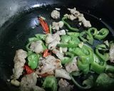青椒炒肉片的食譜步驟4照片