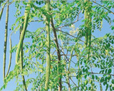 கிராமத்து முருங்கைக்கீரை சூப்🌿🌿🌿🌿👌👌👌👌 ரெசிபி ஸ்டேப் 1 புகைப்படம்