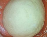 Foto del paso 1 de la receta: Canelón de Acelga ♥