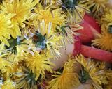 A picture of step 2 of Dandelion honey.