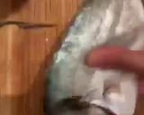 Une image de l'étape 3 de Bouillabaisse à ma facon.
