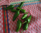 Foto del paso 1 de la receta: Pimientos de padrón 🤫😉