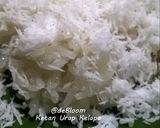 Foto langkah ke 4 dari resep 116. Ketan Urap Kelapa (original).