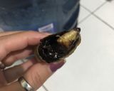 Foto langkah ke 6 dari resep Piscok.