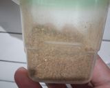 Foto langkah ke 2 dari resep Garam Masala.