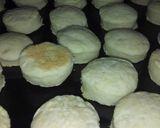 Foto del paso 6 de la receta: Galletas con dos ingredientes