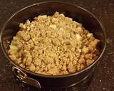 Apple Crumb Cake recipe step 16 photo