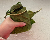 Foto del paso 1 de la receta: Infusión para aliviar la gripe y la tos