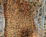 Foto del paso 7 de la receta: Postre semifrío de turrón de Alicante