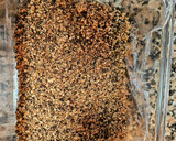 Foto del paso 7 de la receta: Postre semifrío de turrón de Alicante