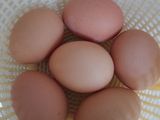 Telur Bumbu Kuning