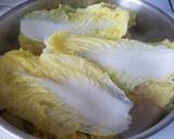 Chicken and Napa Mille Feuille recipe step 6 photo