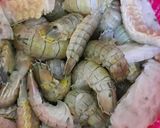 Foto langkah ke 2 dari resep Udang Ronggeng/Mantis Shrimp.