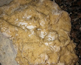Foto del paso 3 de la receta: Pan dulce navideño!!🎄