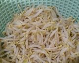 Foto langkah ke 2 dari resep Kongnamul (Korean Style Bean Sprout).