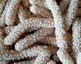 Foto langkah ke 9 dari resep Keciput wijen/onde-onde ceplus renyah.
