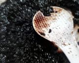 Foto langkah ke 1 dari resep Es si hitam manis.