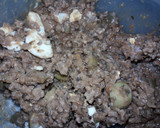 Foto del paso 1 de la receta: Empanadas de carne