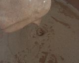 Foto langkah ke 5 dari resep Double Chocolate Butter Chiffon *M29.