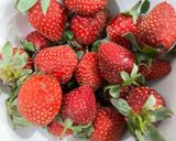 Foto langkah ke 1 dari resep Jus Strawberry Yakult.
