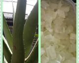Foto langkah ke 1 dari resep Minuman segar Lidah Buaya.