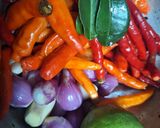 Foto langkah ke 1 dari resep Sambal Jengkol Teri.