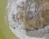 Foto langkah ke 5 dari resep Eggless Banana Cake (Kue Pisang Irit Tanpa Telur Tanpa Mixer).