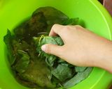 Foto langkah ke 2 dari resep Es Cincau Hijau.