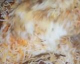 A picture of step 10 of Masaledar Beef Biryani.