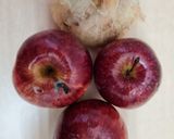 Foto del paso 1 de la receta: Chutney rosa ultra rápido 🧅🍎