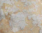 Foto langkah ke 2 dari resep Bubble Bread Metode Yudane.