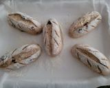 Foto langkah ke 6 dari resep Cranberry Cream Cheese Bread.