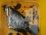 Ikan Goreng Garing
