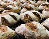 Foto del paso 7 de la receta: Orujo de uvas pan de centeno de queso 🥖