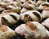 Foto del paso 7 de la receta: Orujo de uvas pan de centeno de queso 🥖