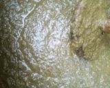 A picture of step 7 of Sarson Ka saag chicken.
