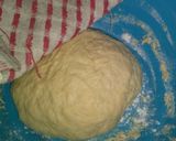Foto del paso 1 de la receta: Lasagna mixta