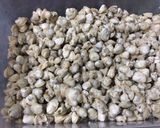 Hình bước làm 1 của món Hến Xào Cuốn Bánh Tráng