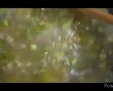 સૂપ(Soup Recipe in Gujarati) રેસીપી સ્ટેપ4ફોટો