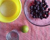 Foto del paso 1 de la receta: Coulis de arándanos