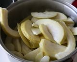 芭樂乾的食譜步驟6照片